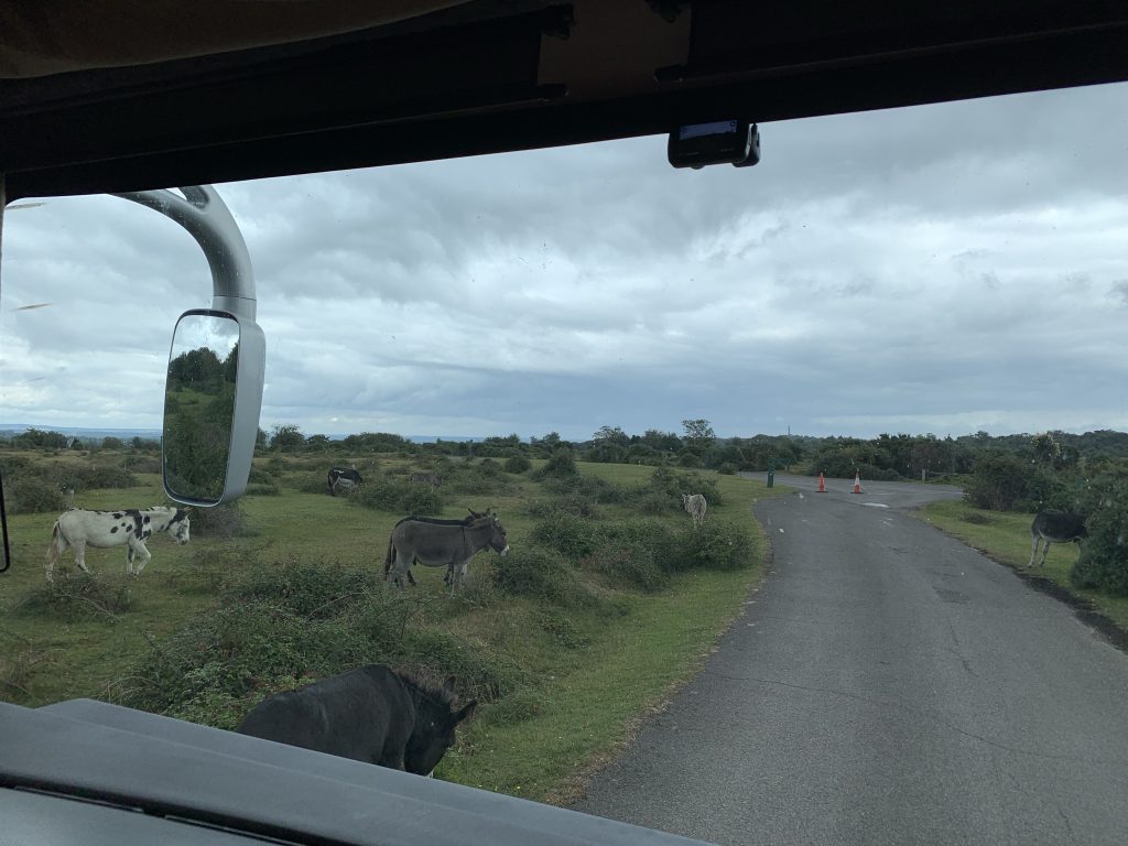 Lots of learning in month one – September 2021