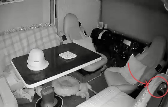 The tale of the Christmouse