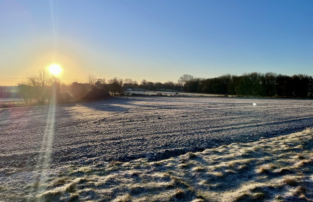 Rosehill Cottage frozen fields